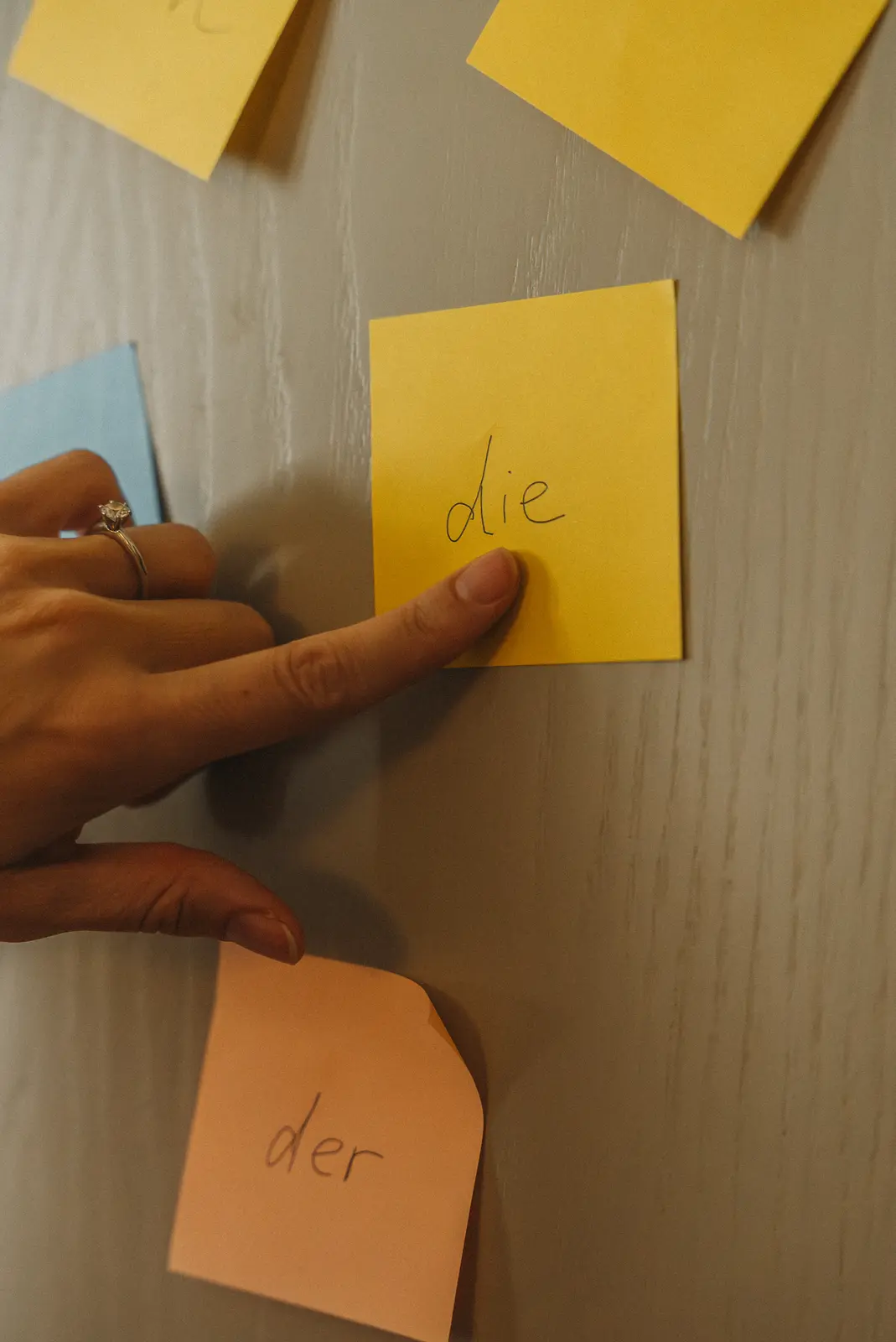 A hand pointing at sticky notes labelled der and die
